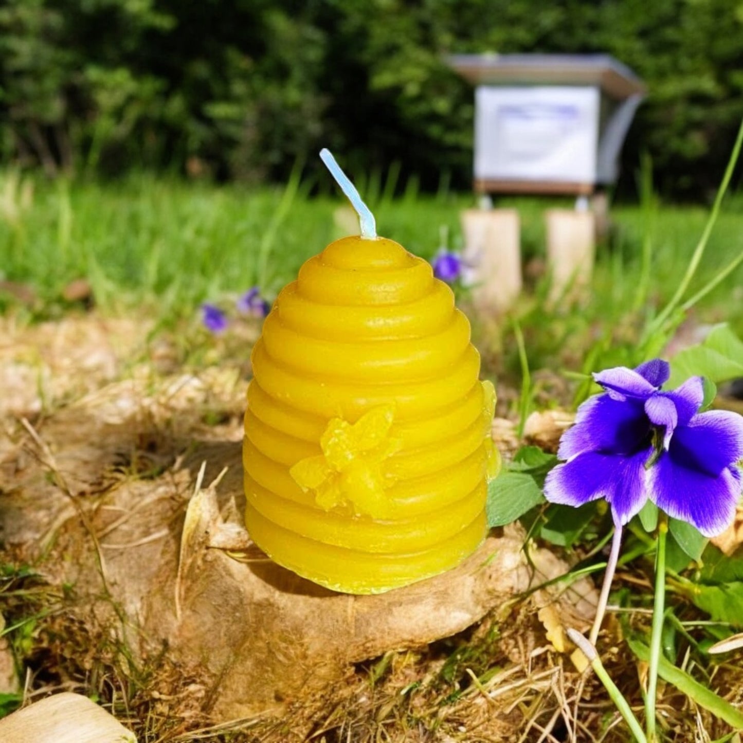 Bee hive candle