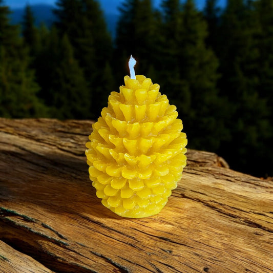 Acorn candle